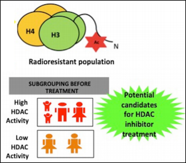 Histone Alterations and DNA Damage