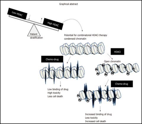 Histone PTM's and Cancer